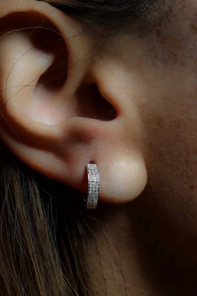 Earrings Crown Jewels Coin 14 ctw Diamond Hoop Earrings