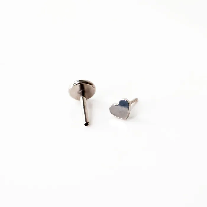 Earrings Grayling Heart Titanium Flat Back Sleeper Earrings