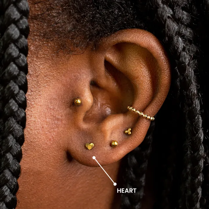 Earrings Grayling Heart Titanium Flat Back Sleeper Earrings