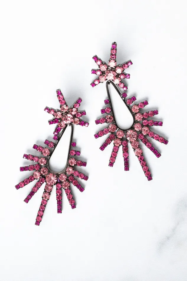 Elizabeth Cole Jewelry Earrings Remington Earrings