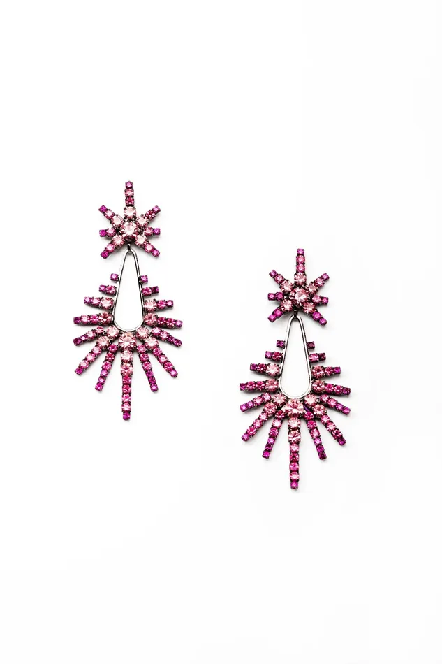 Elizabeth Cole Jewelry Earrings Remington Earrings