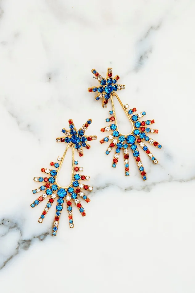 Elizabeth Cole Jewelry Earrings Remington Earrings
