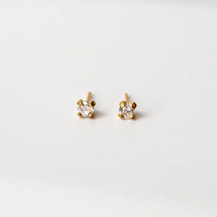 Grayling Solitaire Round Titanium Flat Back Sleeper Earrings Earrings