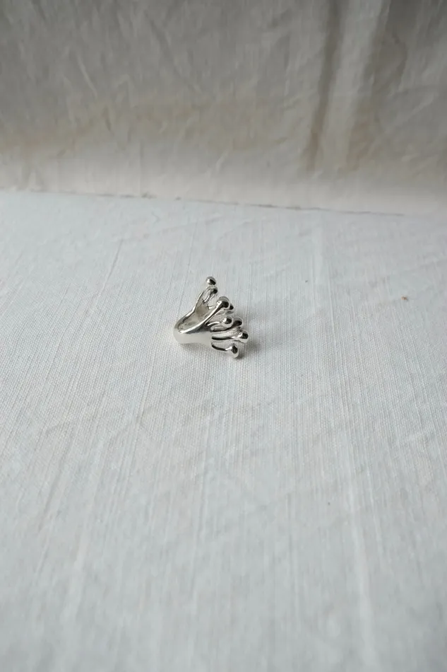 Monica Castiglioni Rings A Pistilli 40 Silver